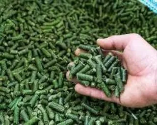 Фото: МСХ РК