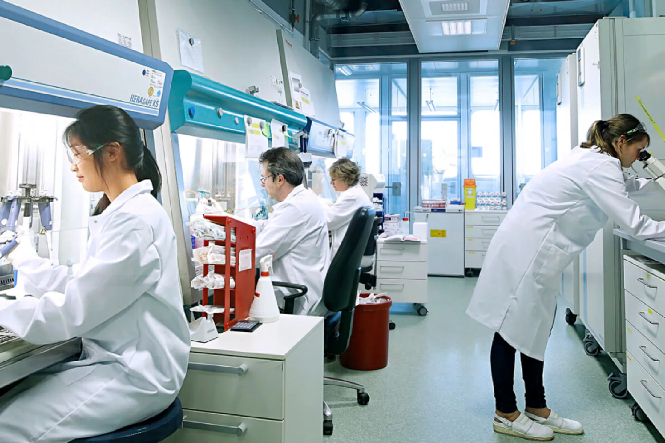 Одна из современных лабораторий Bayer