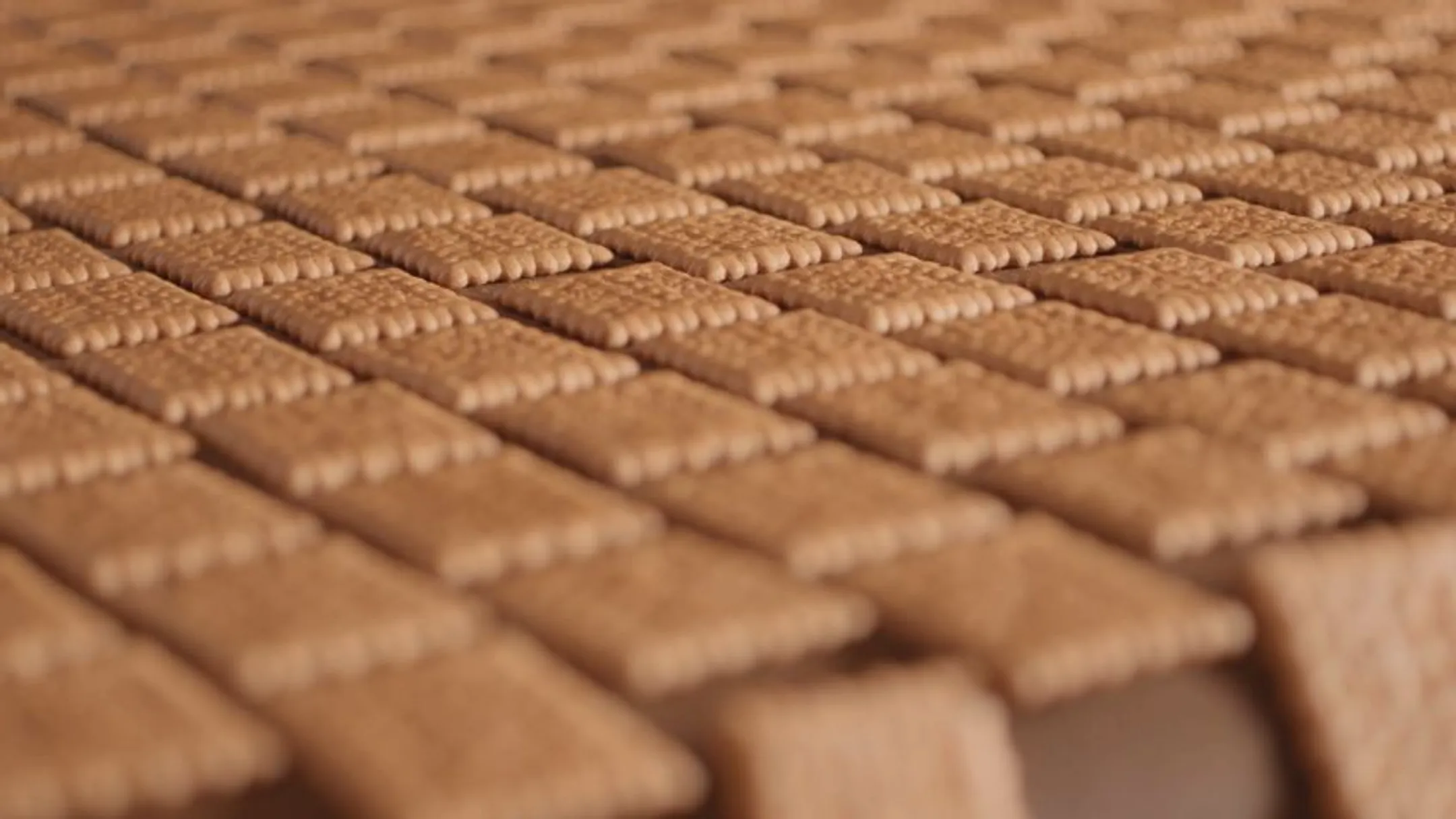 Фото: yildizholding.com.tr