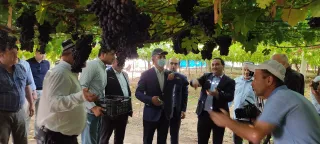 Капитал - С Таджикистаном заключены договоры на поставку винограда и лука