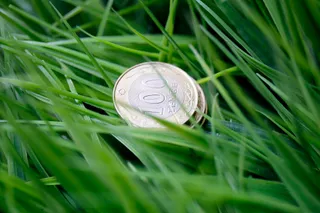 Капитал - В госсобственность вернули 33 земельных участка