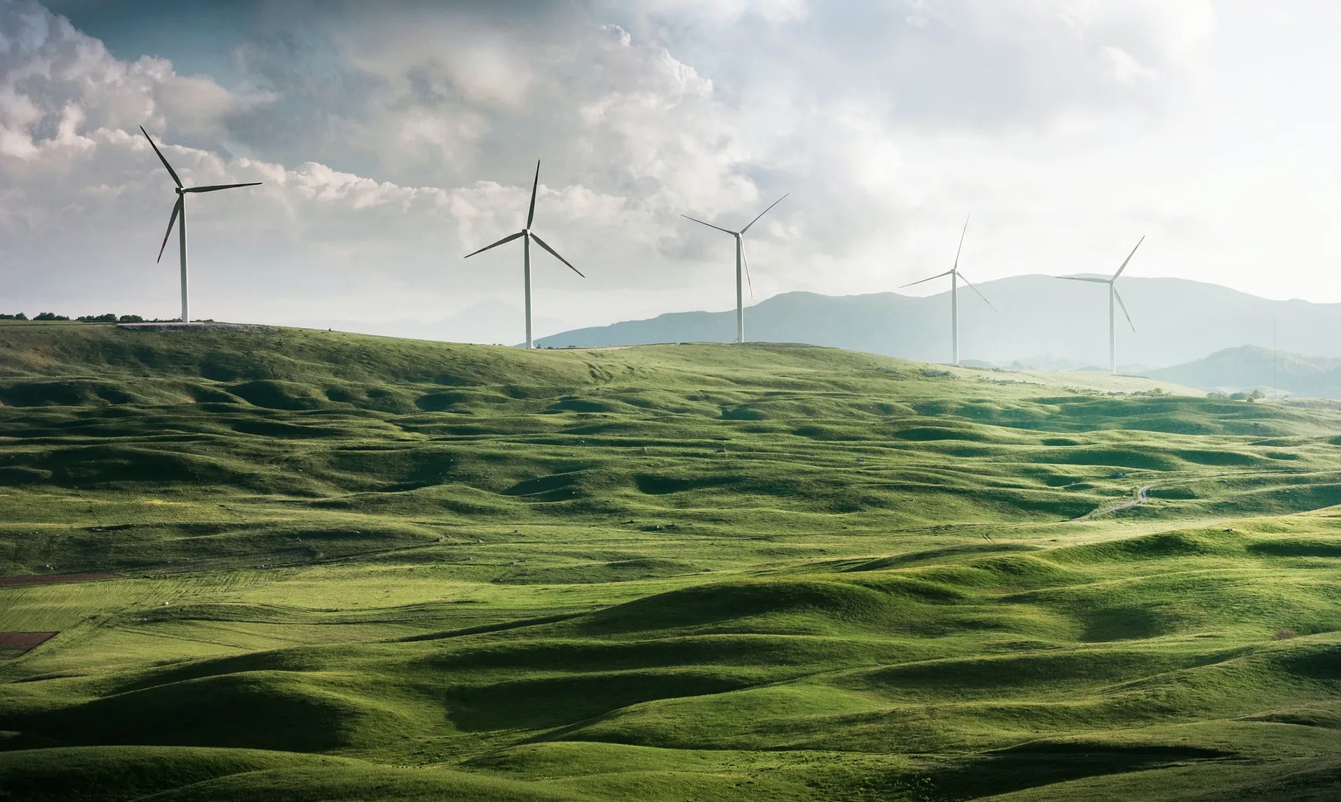 climate.greenpeace.ru