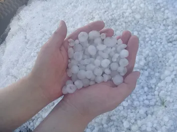 Град в Грузии: 434 автовладельца получили 43,7 млн тенге