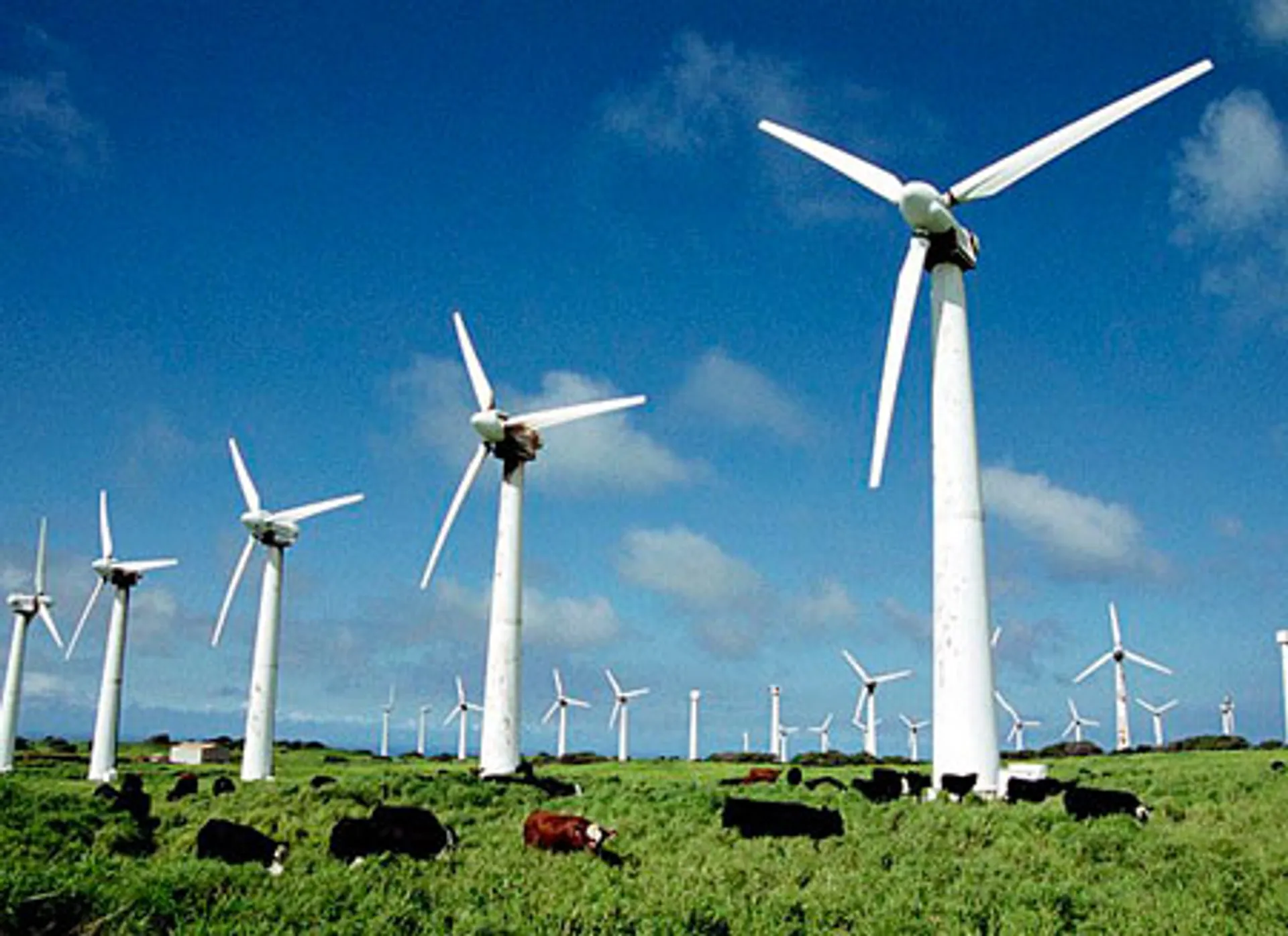 Капитал - Использование возобновляемых источников энергии намерены расширять