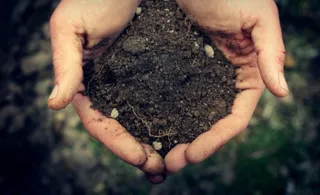 Капитал - Свыше 8 тыс. участков ИЖС будут изъяты в РК