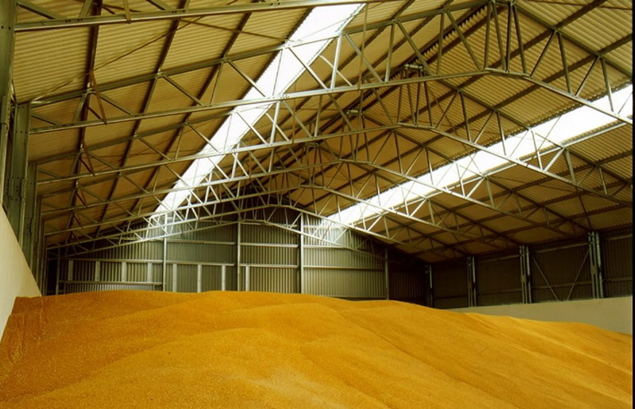 Казахстан отправит в Кыргызстан 200 тыс. тонн зерна - Image Kapital.kz