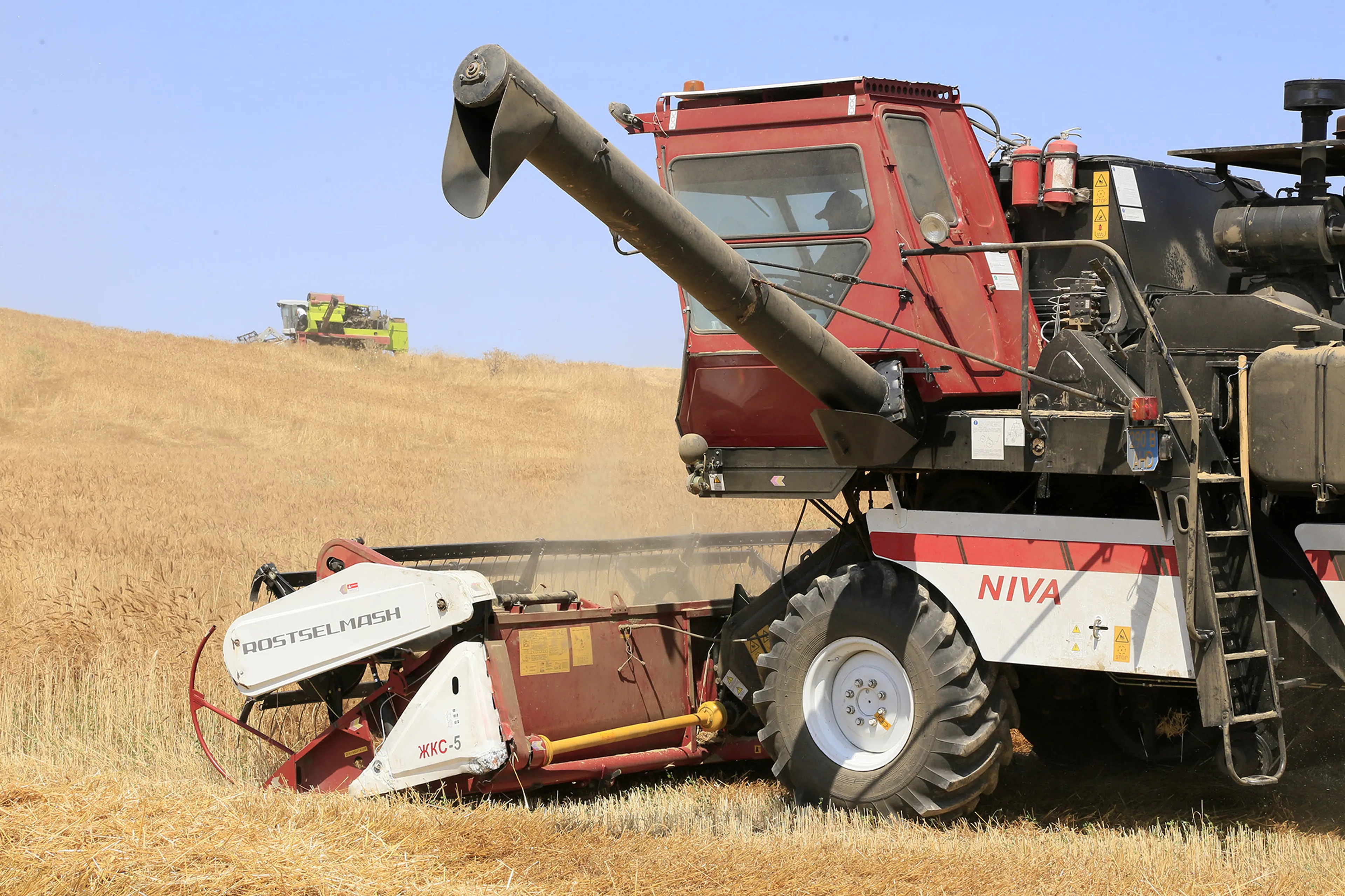 Фото: Руслан Пряников 