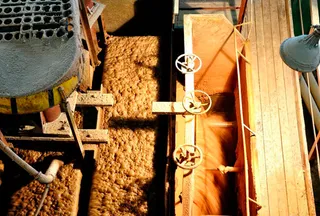 Капитал - Китай поможет наладить выпуск калийных удобрений