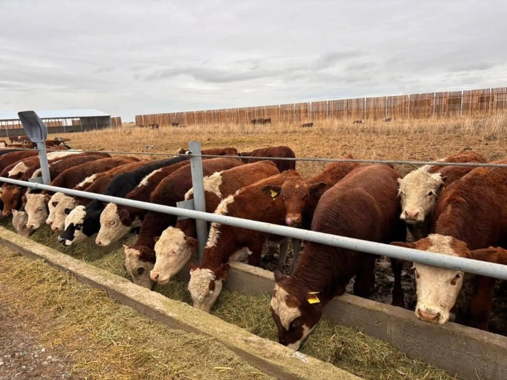 Фото: МСХ РК