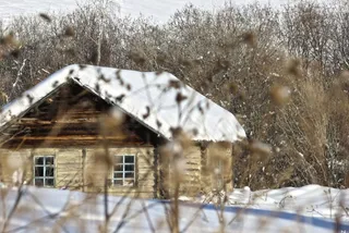 Капитал - Около 50 тысяч казахстанцев покинули свои села