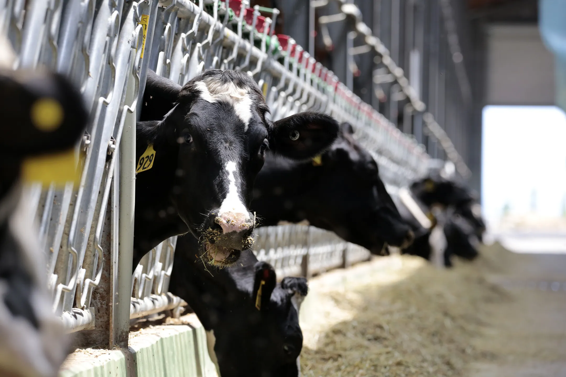 Изображение Kapital.kz