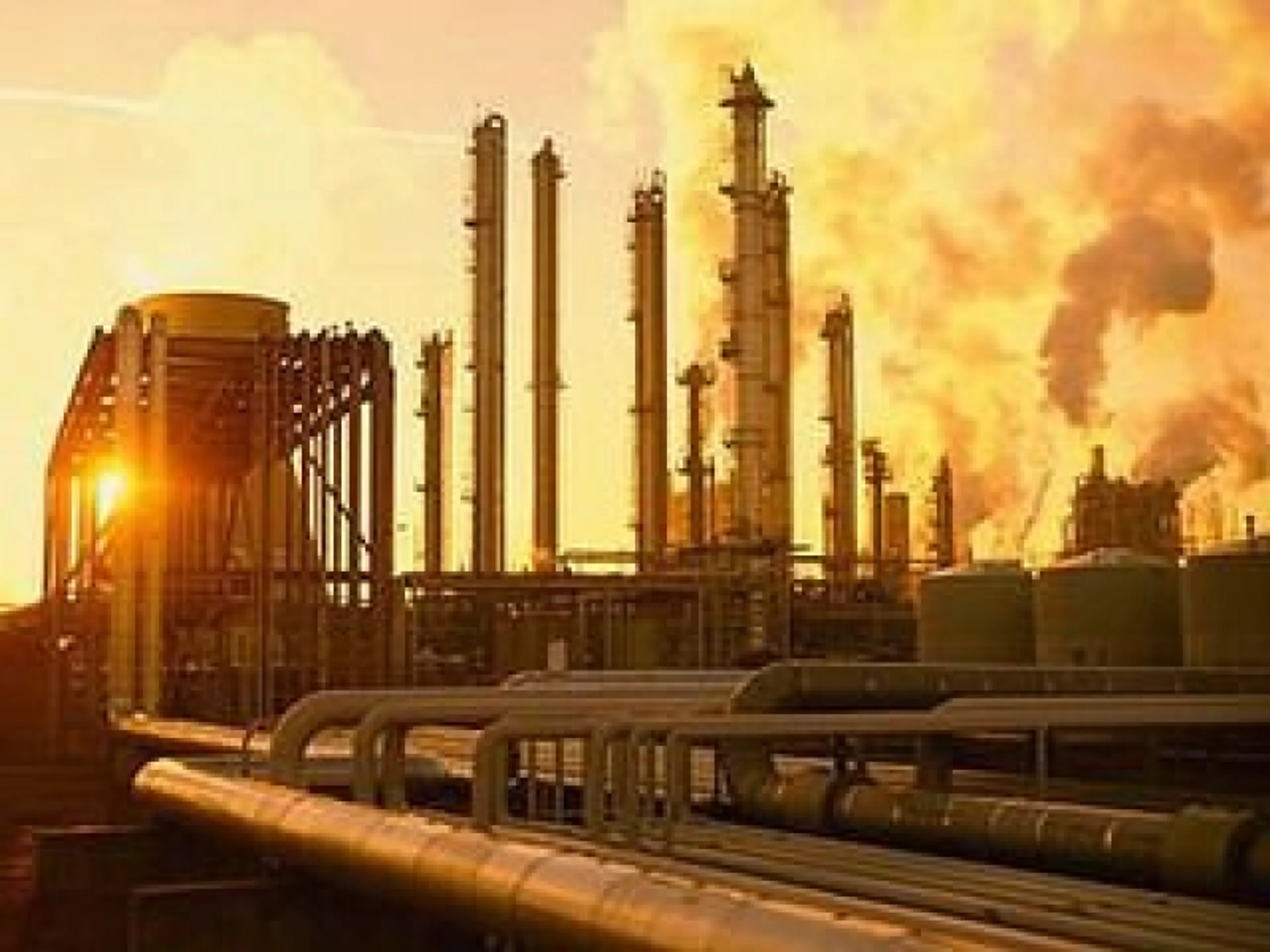 Капитал - Транснациональные компании привлекут в перерабатывающую отрасль