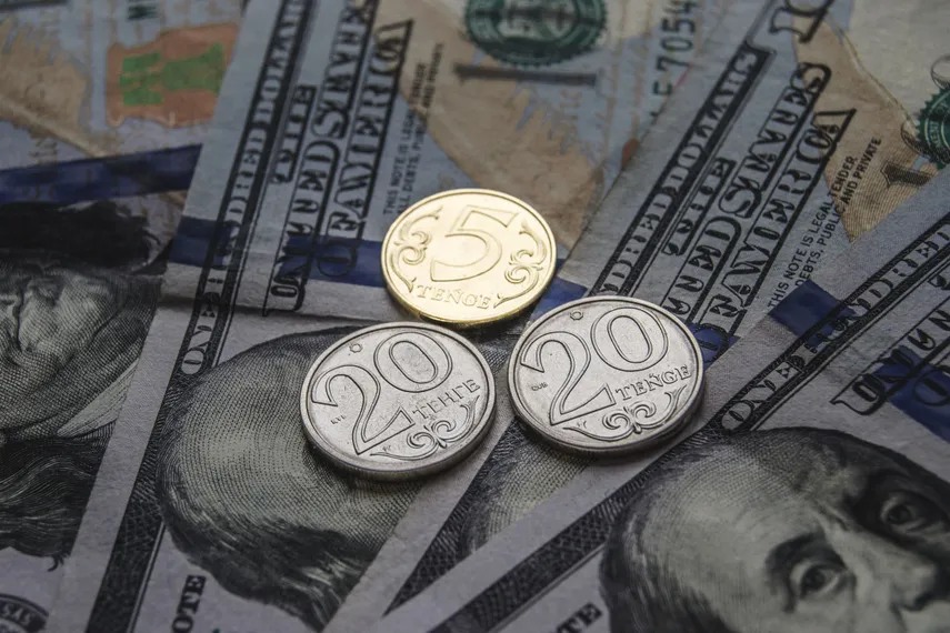 Фото: Валерия Змейкова