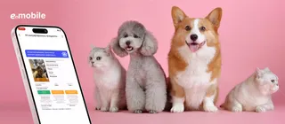 Фото: АО «НИТ» 