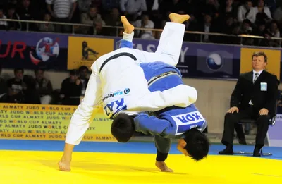 Дворец Единоборств построят в Астане в 2014 году