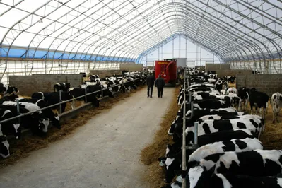 Аграрная отрасль Казахстана интересна чешским бизнесменам