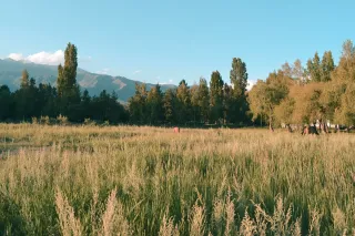 Капитал - Инвестор с немецким участием не мог получить земли под строительство