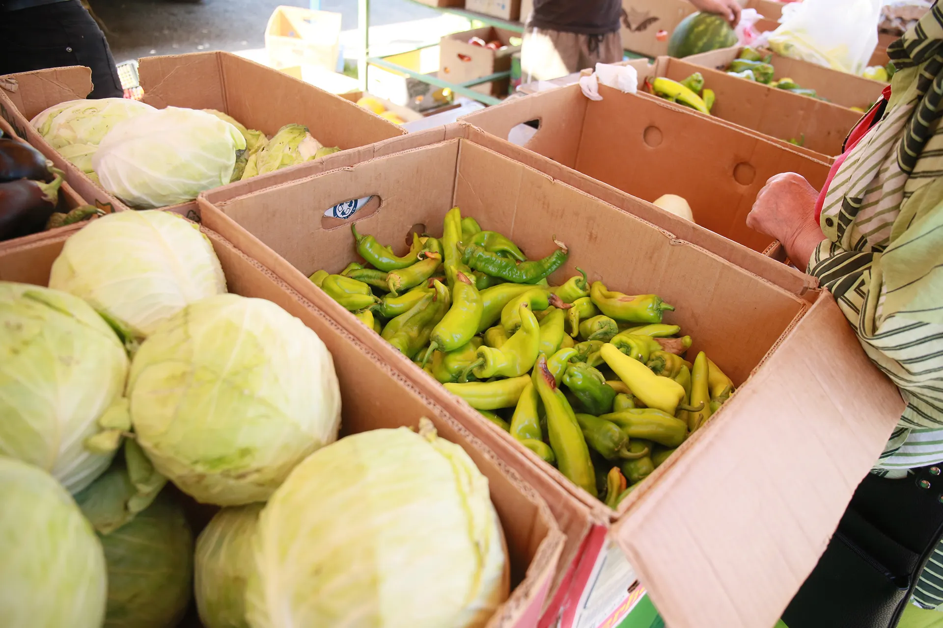 Фото: Руслан Пряников