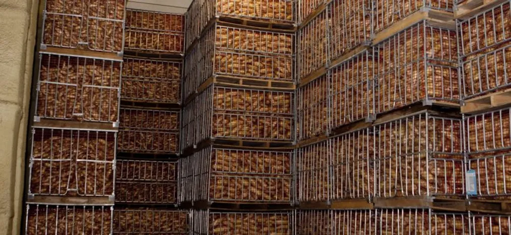 КазахЗерно