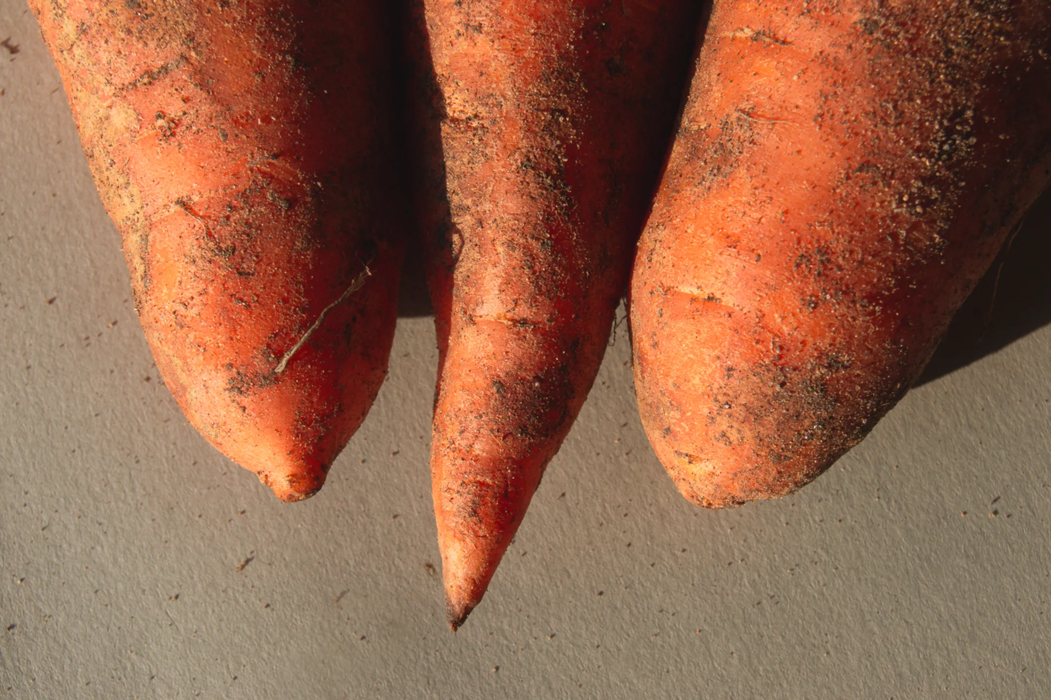 Фото: Валерия Змейкова