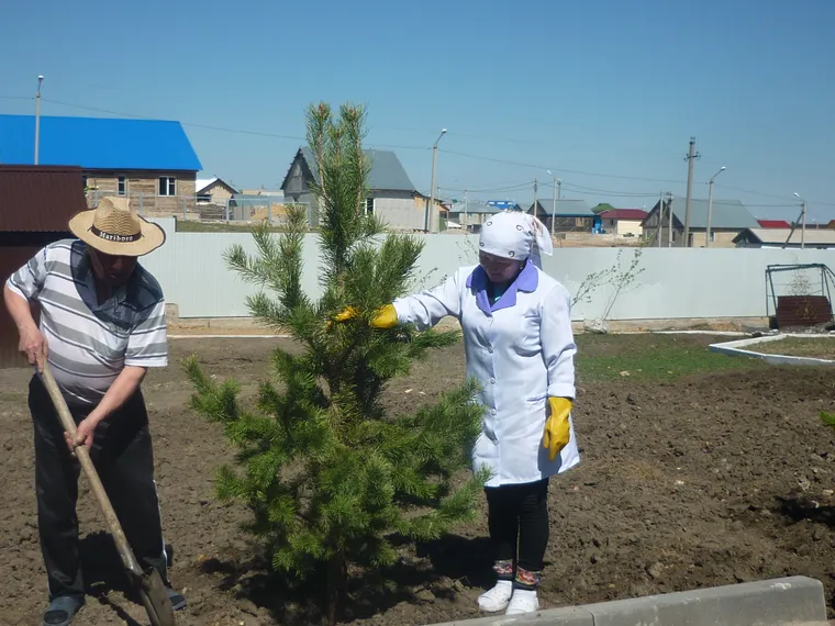 Капитал - История создания частного пансионата для пожилых людей