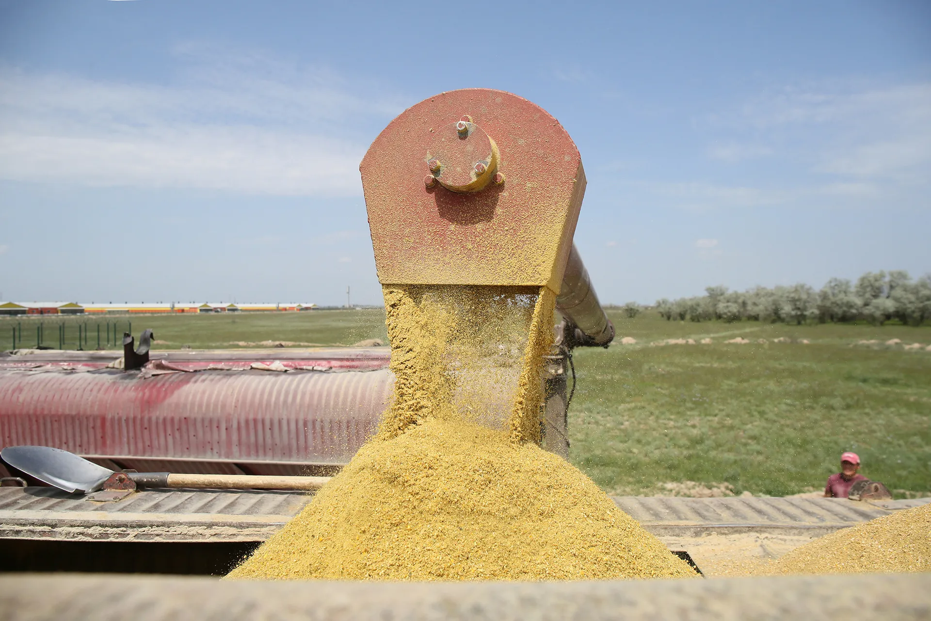 Фото: Руслан Пряников