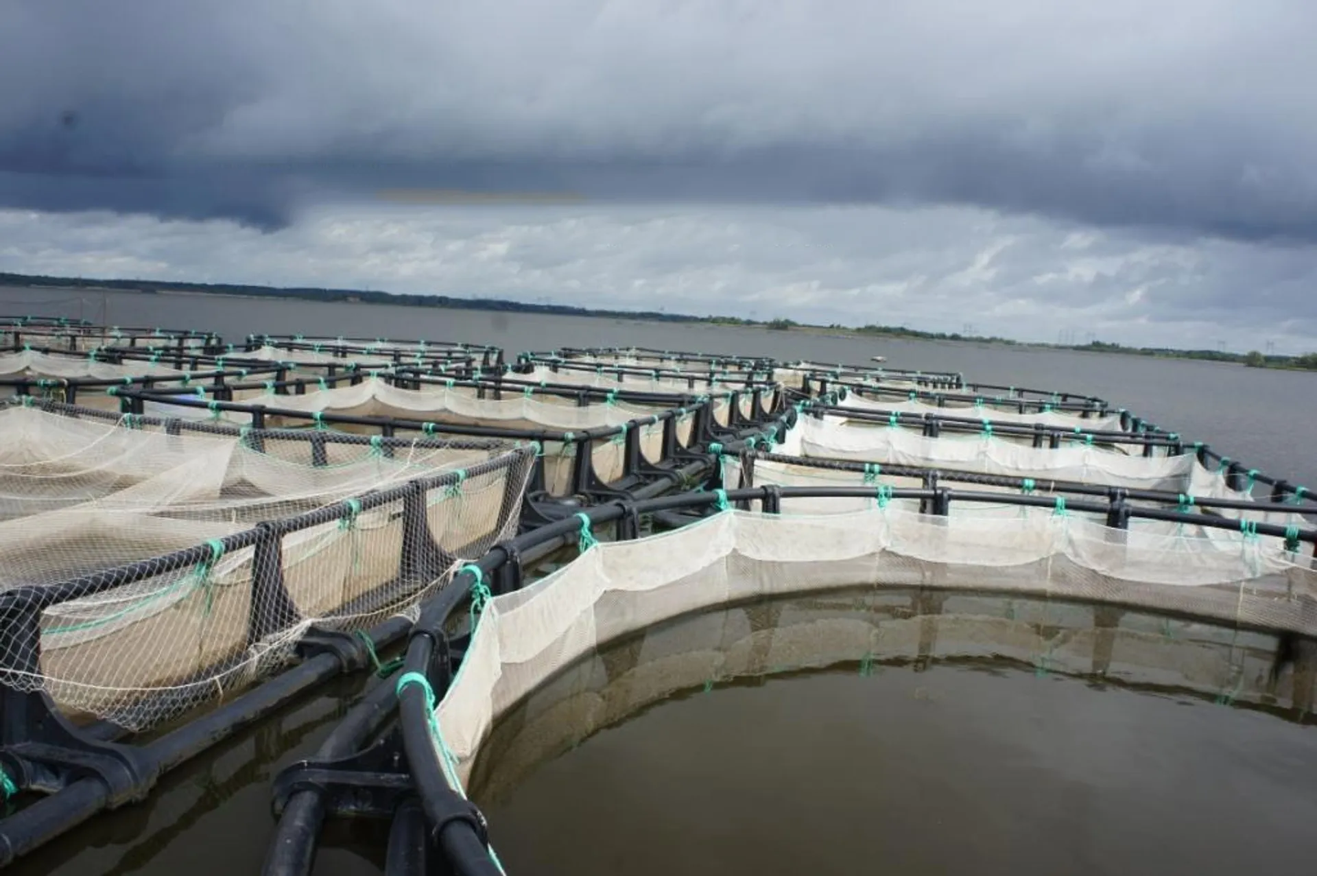 Капитал - Водохранилища в Казахстане будут приносить прибыль