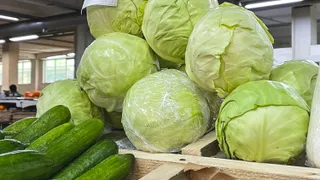 Фото: Валерия Змейкова 