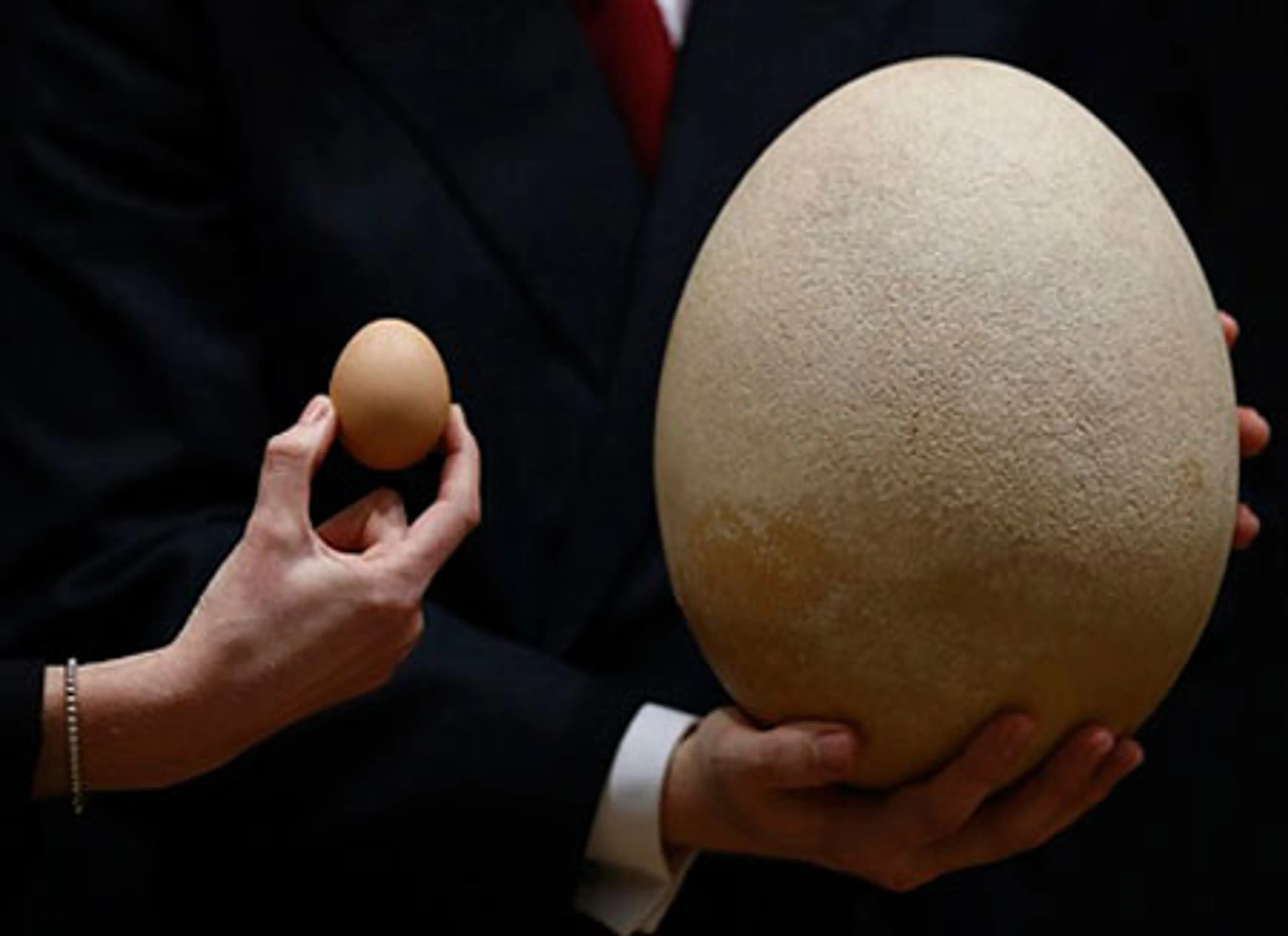 Капитал - Яйцо на Christie's  купили за $102 тыс.