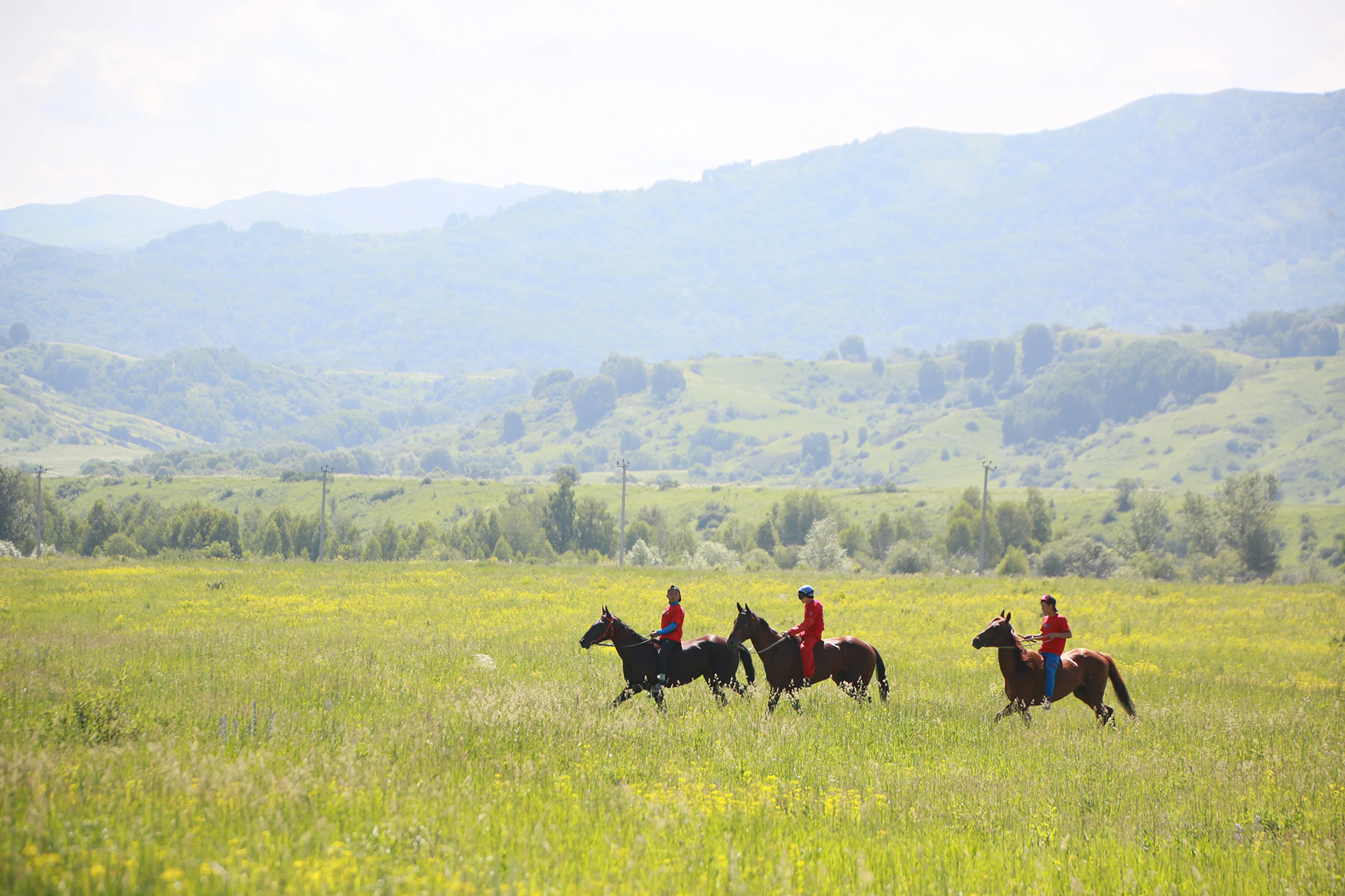 Фото: Руслан Пряников