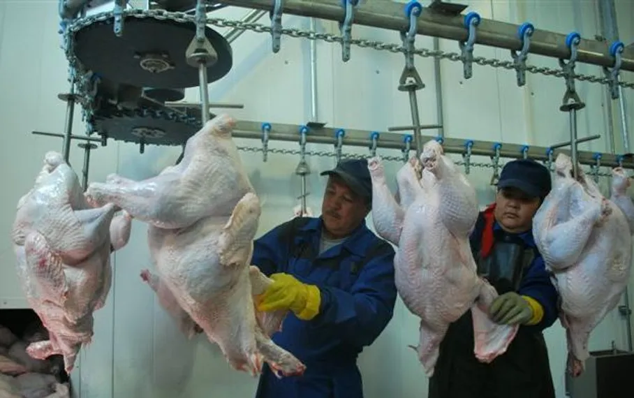 Капитал - Казахстанское мясо станет продуктом премиум-класса