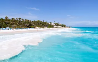 Капитал - Бородатый остров