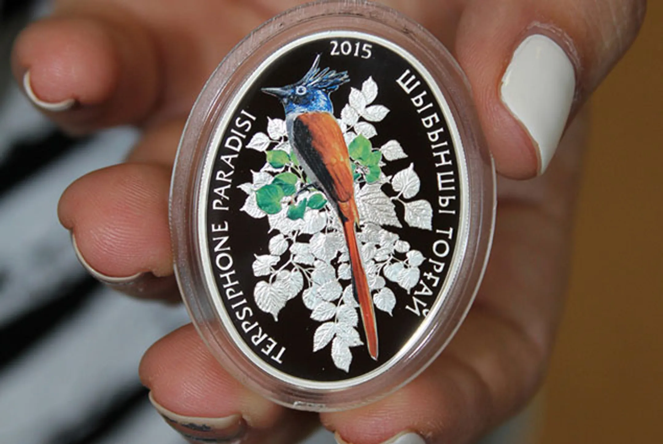 Нацбанк выпускает в обращение памятные золотую и серебряную монеты - Image Kapital.kz