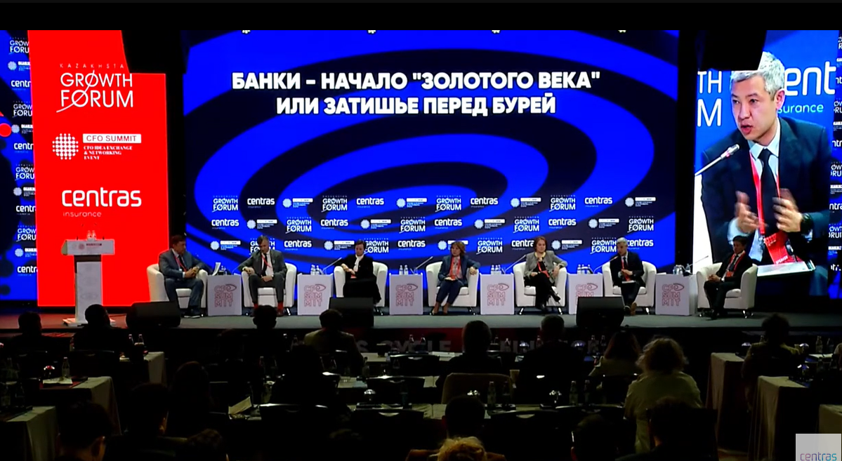 Фото: Print Screen с видео CFO SUMMIT XII