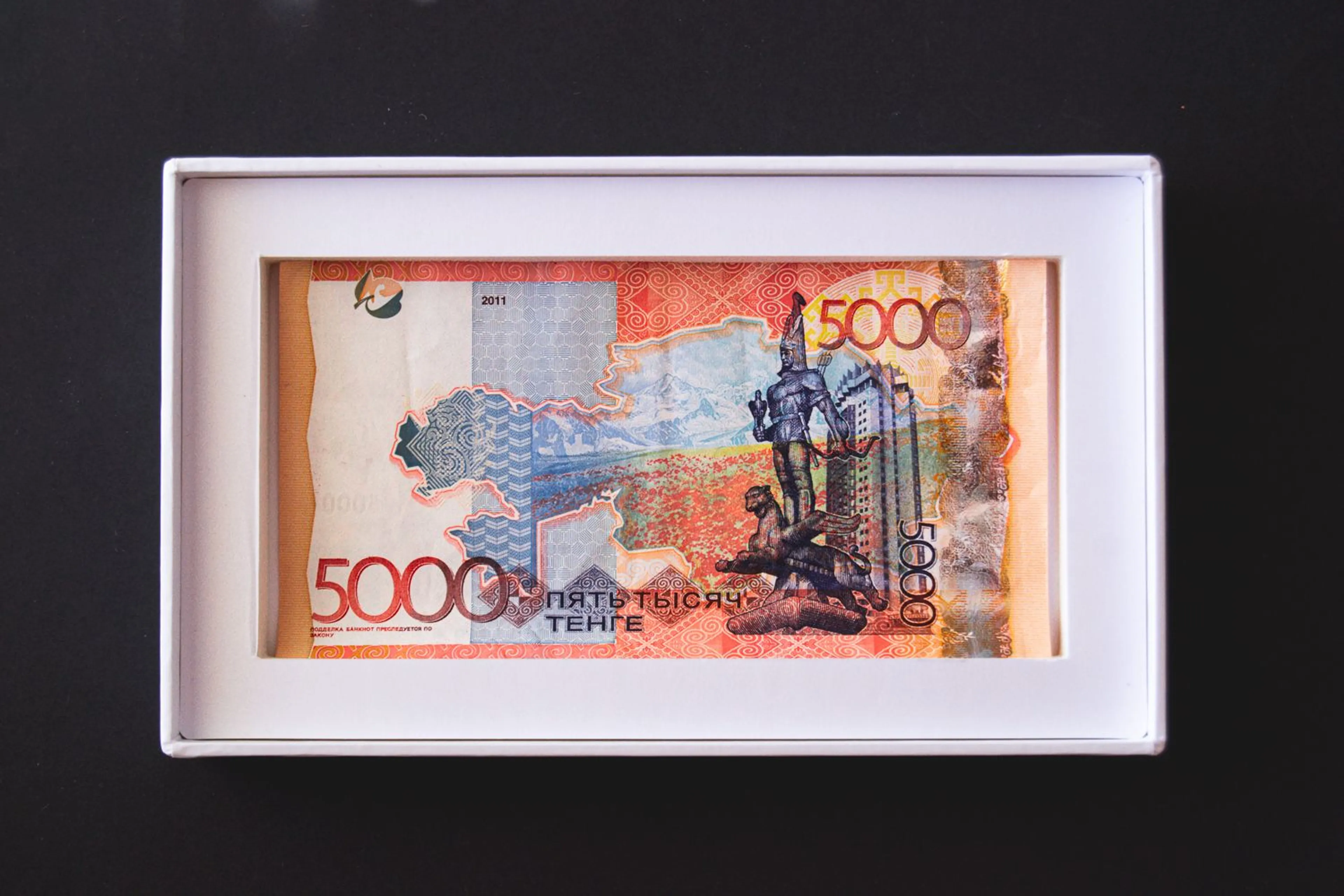 Фото: Валерия Змейкова