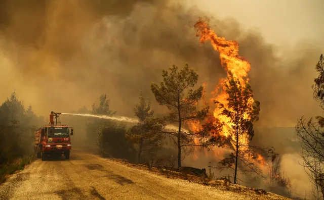 Изображение Kapital.kz