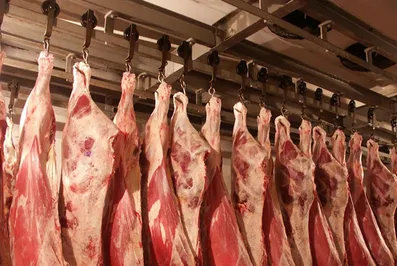 Россельхознадзор удовлетворен решением Казахстана