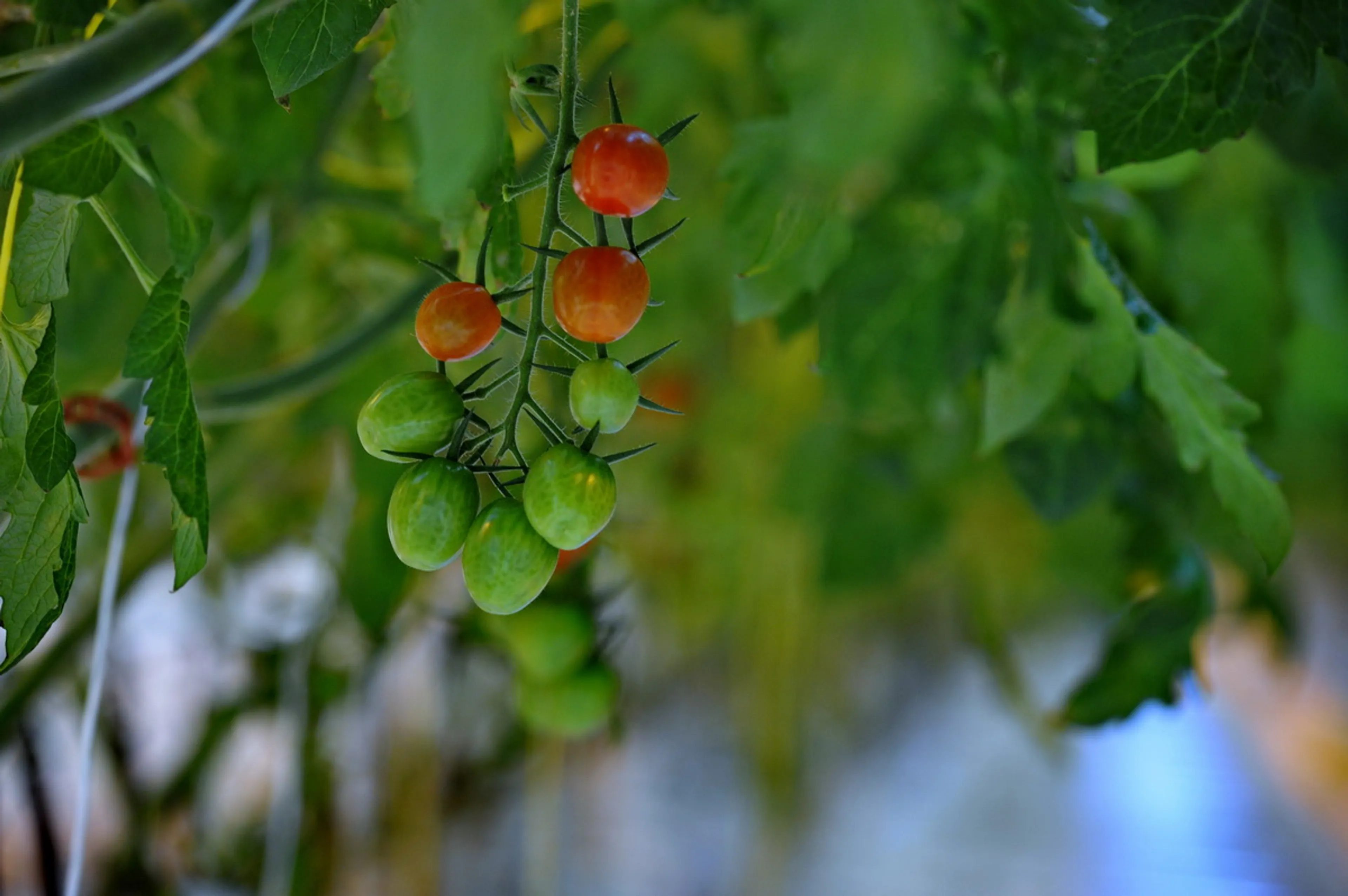 Фото: Владимир Третьяков