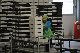 Капитал - В Ташкент поедут представители 23 компаний Казахстана