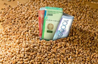 Капитал - Какими должны стать казахстанские агрохолдинги?