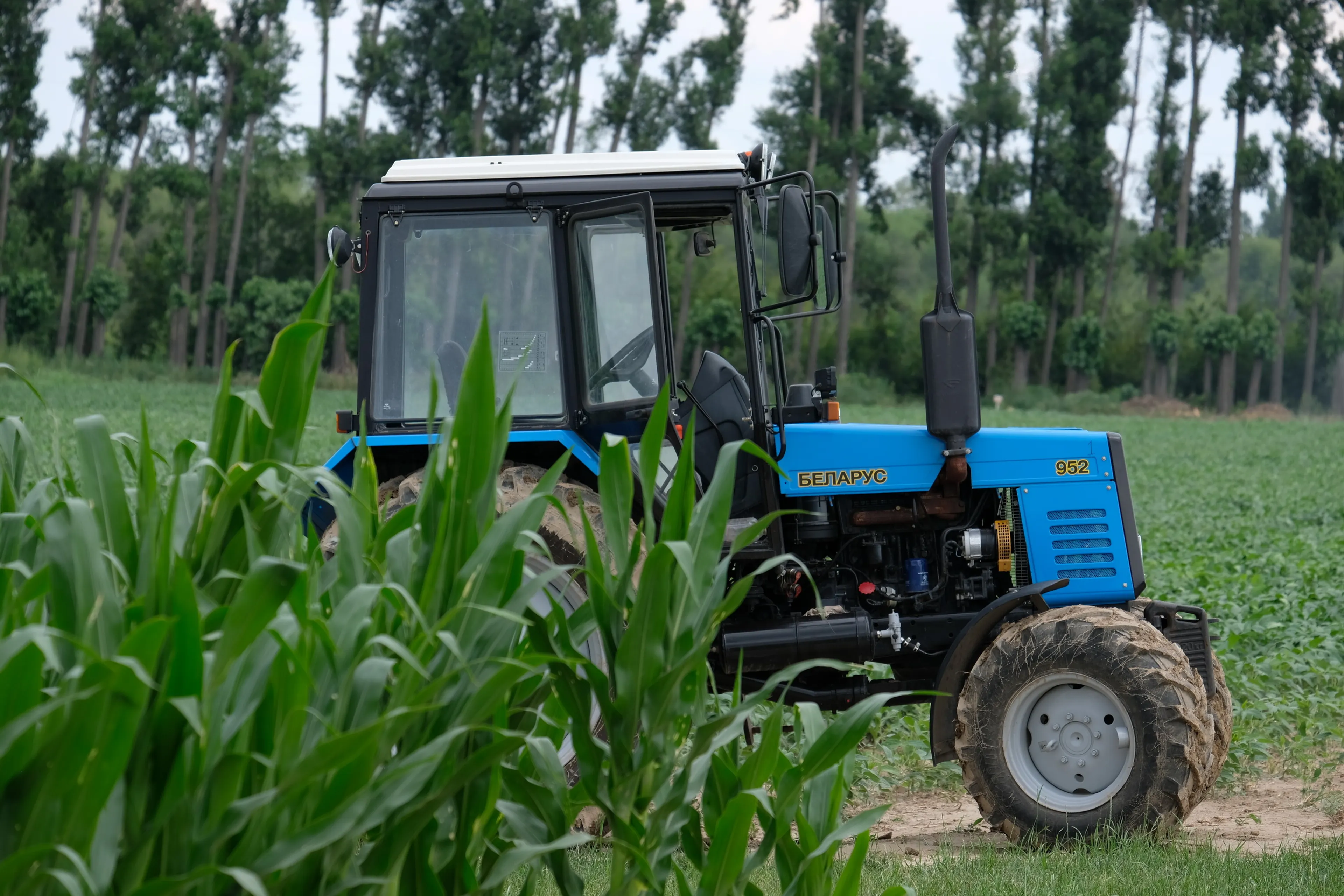 Капитал - Казахстан и Беларусь: научились создавать, надо укреплять