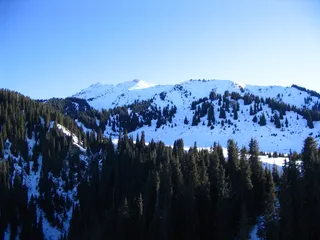 Капитал - В поддержку проекта на Кок Жайляу собрано 1,5 тыс. подписей