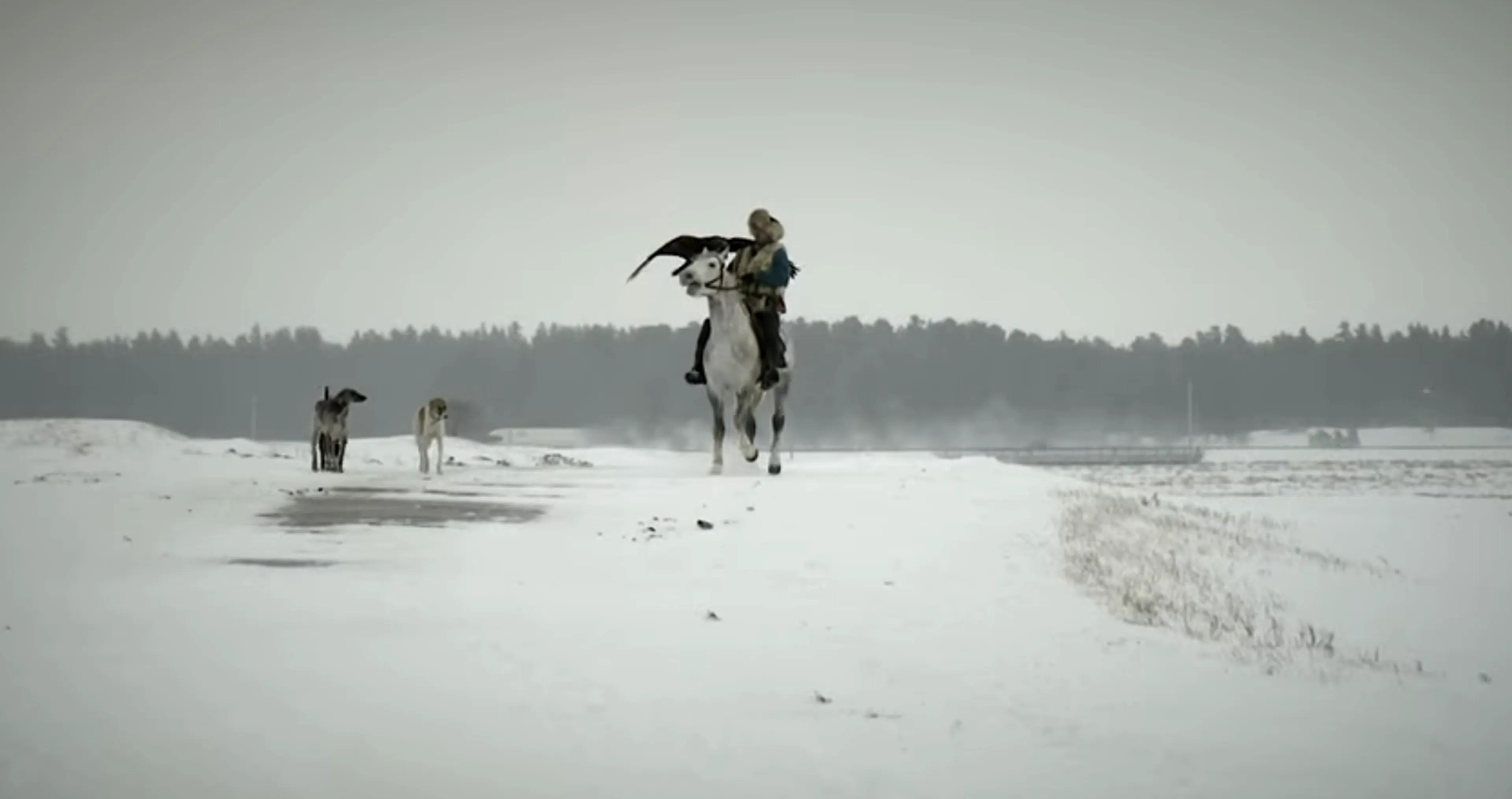 Капитал - Афиша: 7 фильмов на Наурыз