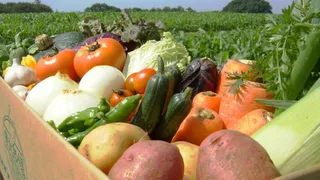 Капитал - Президент поручил в два раза увеличить объем валовой продукции сельского хозяйства