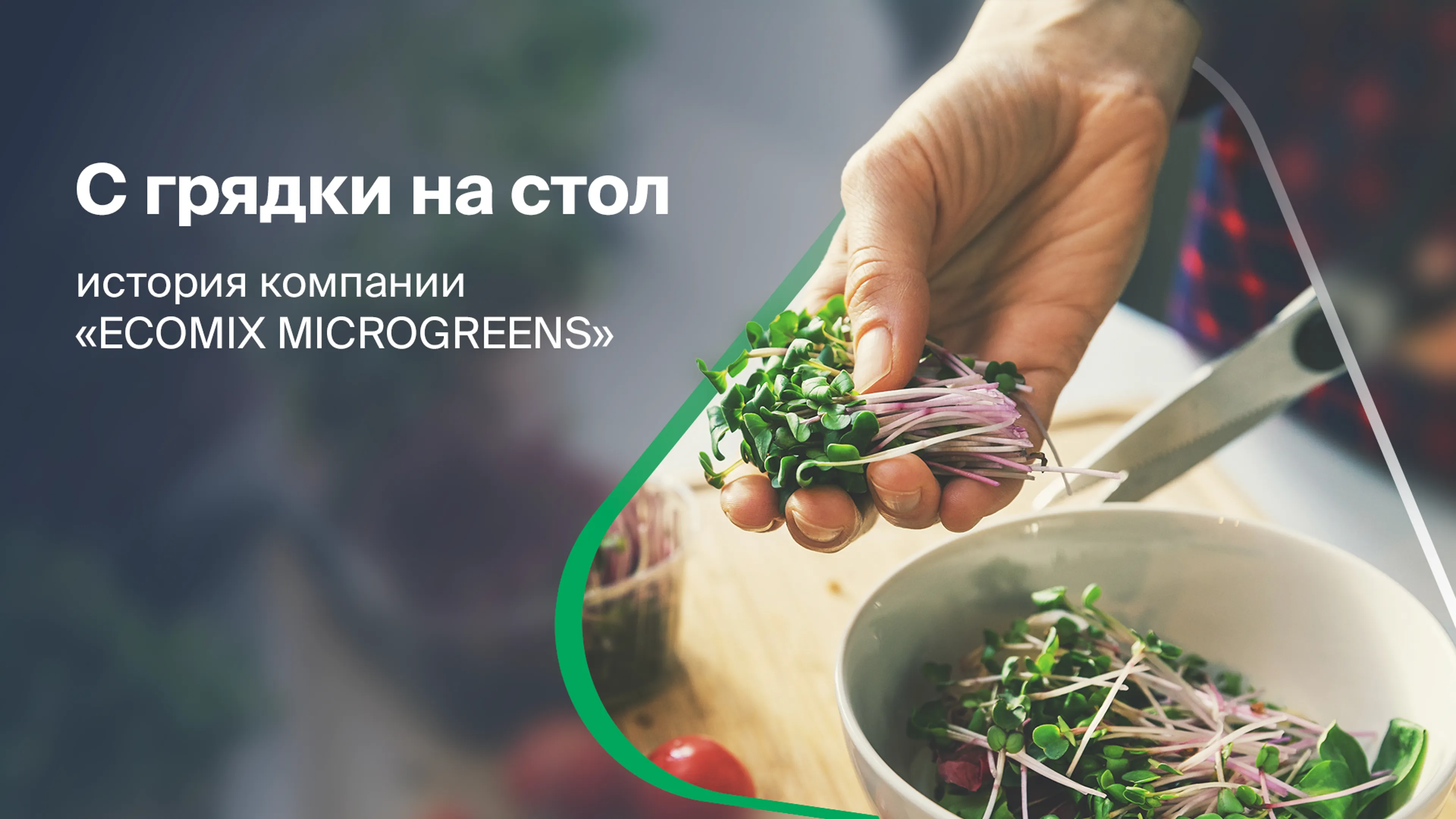 Капитал - Растущий бизнес: как микрозелень меняет городское питание