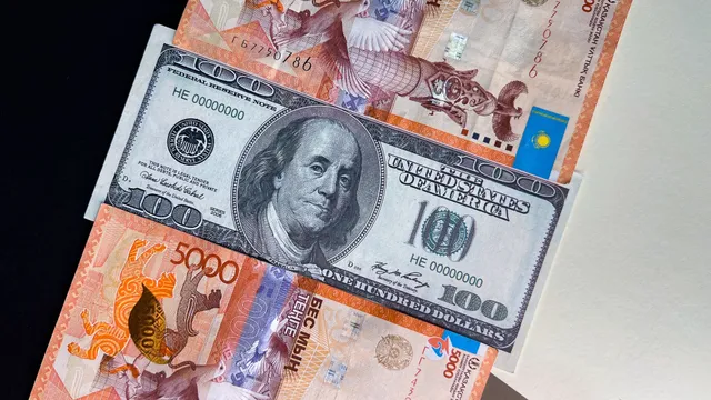 Фото: Валерия Змейкова