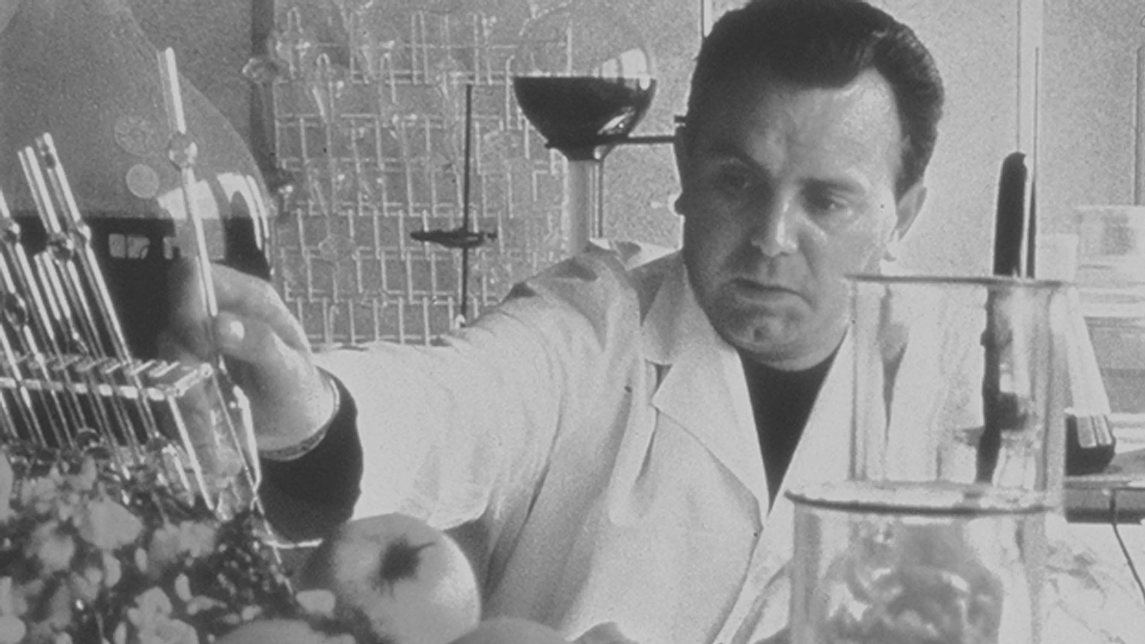 Капитал - Ива Роше в мир растительной косметики привела целительница