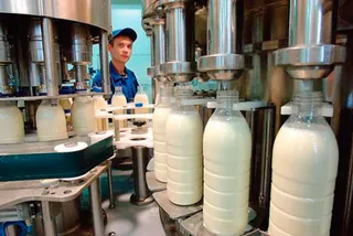 Капитал - Молочный цех стоимостью 285 млн открыт в ЮКО