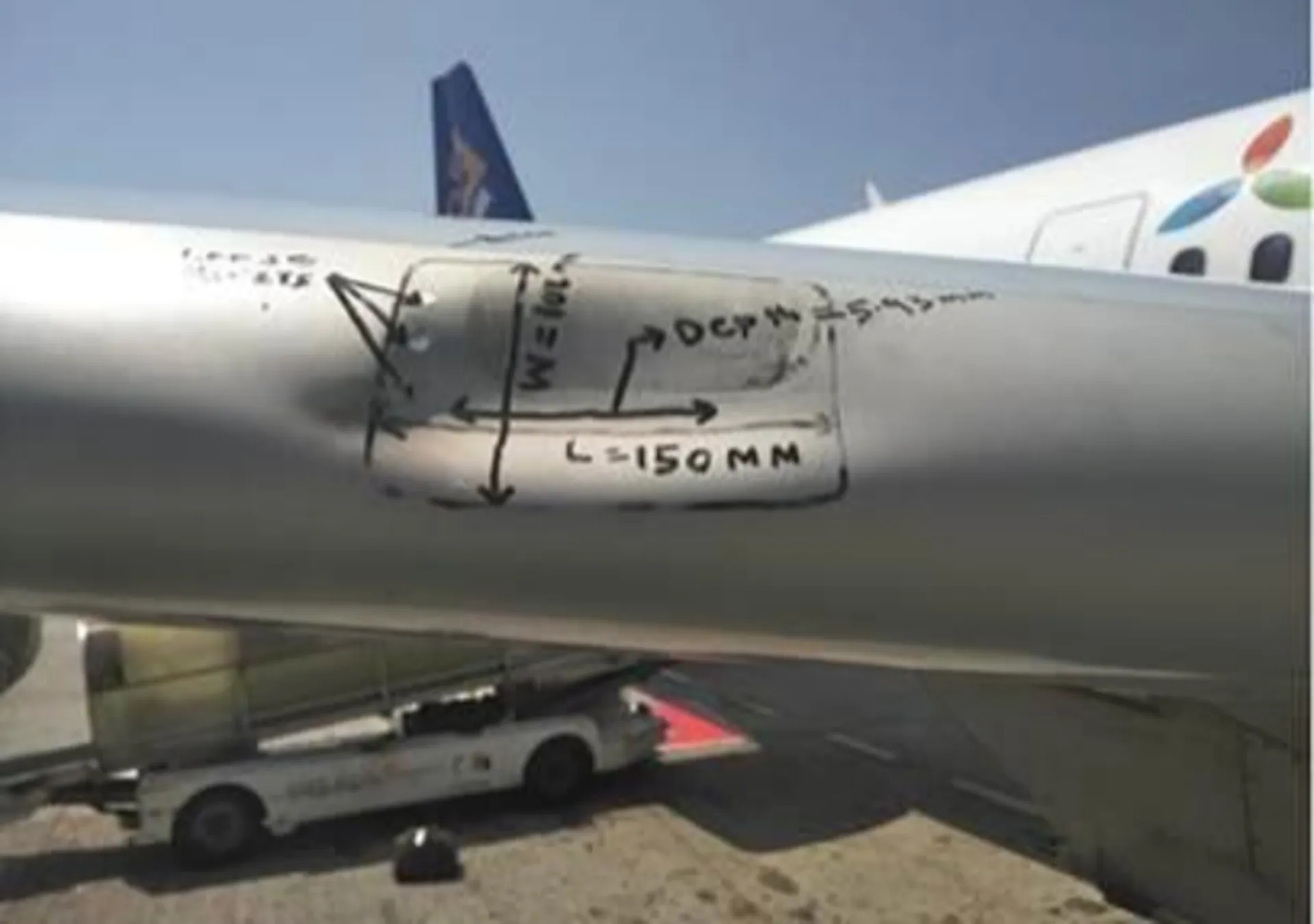 Капитал - «Эйр Астана»: безопасности полетов угрожают птицы