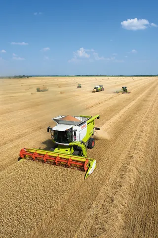 Капитал - Как казахстанское зерно закрыло сезон